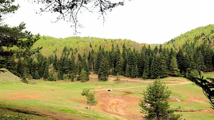Altıoluk Yaylası