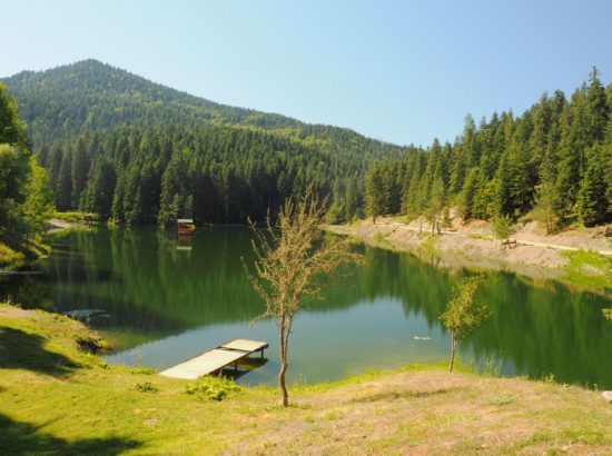 Ayancık Akgöl Yaylası