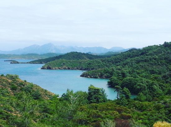 Balıkaşıran Koyu