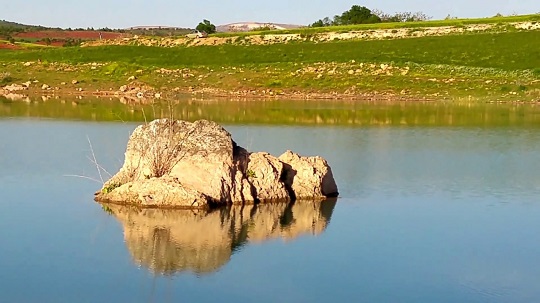Burç Göleti
