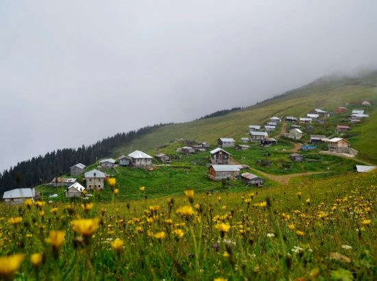 Gito Yaylası