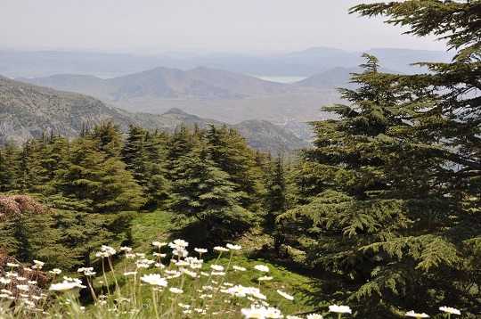 Hızır Yaylası