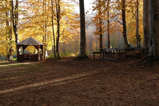 Nebiyan Yaylası