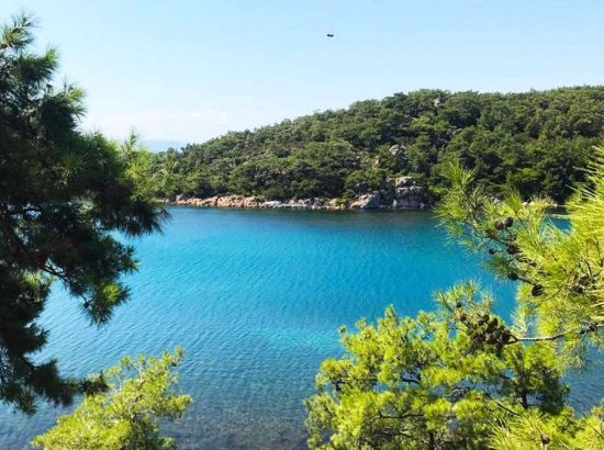 Ortunç Koyu