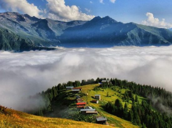 Pokut Yaylası