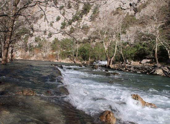 Üzümdere Milli Parkı